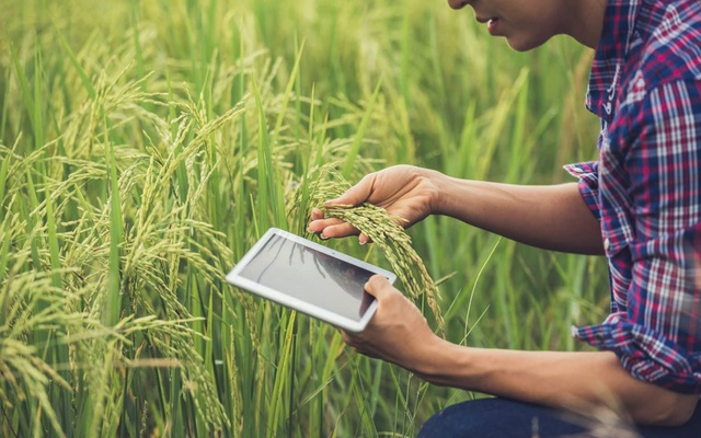 Khi công nghệ tham gia vào "cày sâu cuốc bẫm" - Bài 1: Công nghệ thay đổi cuộc chơi nông nghiệp toàn cầu - Ảnh 5.