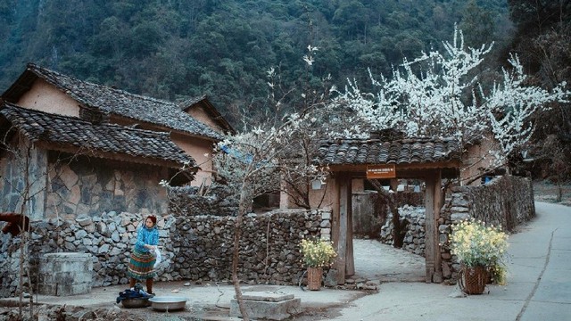 Tuyên Quang được vinh danh “Điểm đến văn hóa khu vực hàng đầu châu Á 2025” tại Giải thưởng Du lịch Thế giới - Ảnh 3.