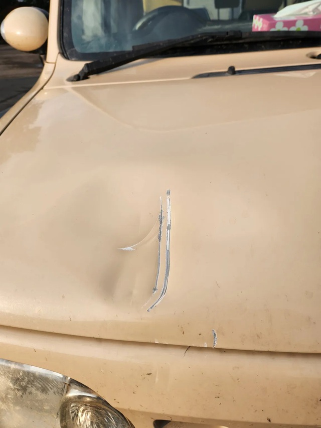 Tài xế may mắn thoát nạn khi chạm trán sinh vật đáng sợ trong đêm tối - Ảnh 2.