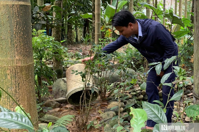 Đà Nẵng: Sốt xuất huyết tăng 37% trong một tuần- Ảnh 1.