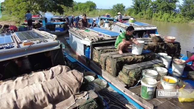 Lênh đênh giữa lộc trời con nước nổi - Ảnh 2.