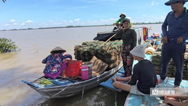 Lênh đênh giữa lộc trời con nước nổi - Ảnh 4.