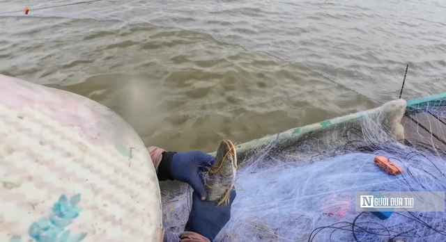 Lênh đênh giữa lộc trời con nước nổi - Ảnh 7.