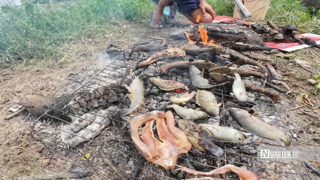 Lênh đênh giữa lộc trời con nước nổi - Ảnh 11.