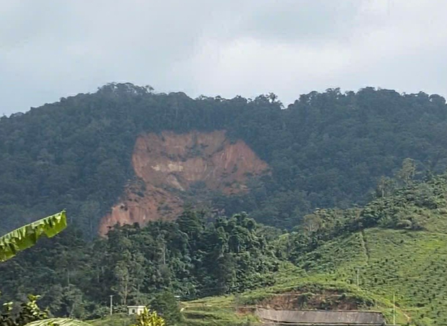 Đà Nẵng: Di dời 665 người dân sau khi quả đồi bất ngờ sạt lở, nghi vùi lấp 3 người- Ảnh 2. Đà Nẵng: Di dời 665 người dân sau khi quả đồi bất ngờ sạt lở, nghi vùi lấp 3 người- Ảnh 2.