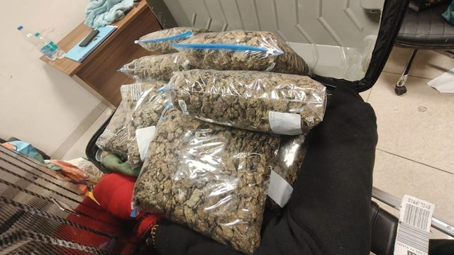 Kiểm tra chiếc vali, phát hiện thứ trị giá 29,7 tỷ đồng- Ảnh 1.