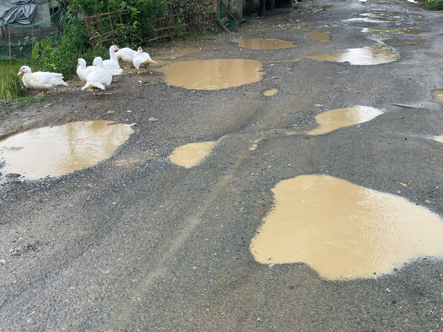 Con đường xuống cấp nghiêm trọng, ổ voi ổ gà thành vũng nước thả vịt- Ảnh 1. Con đường xuống cấp nghiêm trọng, ổ voi ổ gà thành vũng nước thả vịt- Ảnh 1.