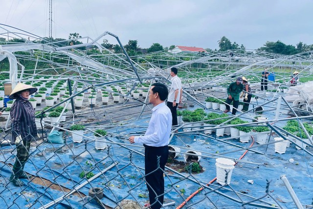 Đà Nẵng: Khẩn trương khắc phục hậu quả lốc xoáy- Ảnh 9. Đà Nẵng: Khẩn trương khắc phục hậu quả lốc xoáy - Ảnh 13.