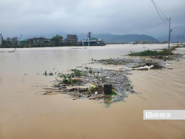 Gia Lai kích hoạt kịch bản sơ tán gần 29.000 dân để chống lũ- Ảnh 4. Gia Lai kích hoạt kịch bản sơ tán gần 29.000 dân để chống lũ- Ảnh 4.