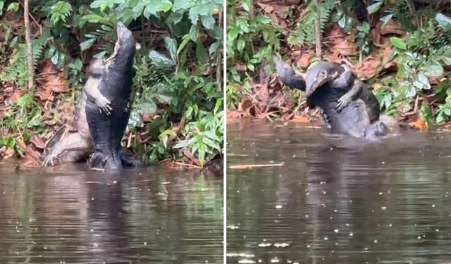 Nhìn xuống hồ nước, người phụ nữ bắt gặp cảnh tượng nổi da gà - Ảnh 1.