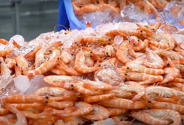 Trung Quốc trở thành động lực lớn nhất cho xuất khẩu tôm tháng 10 - Ảnh 2.