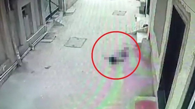 Bé trai 5 tuổi tử vong khi rơi từ tầng 3 chung cư xuống đất - Ảnh 1.