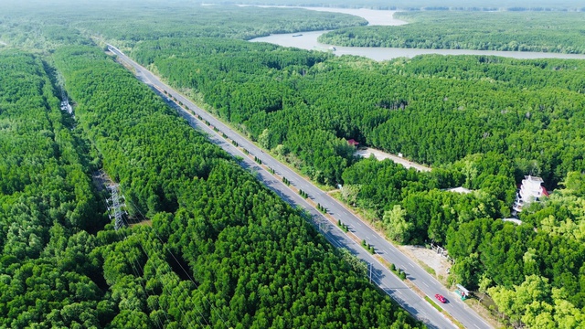 Cận cảnh “đại công trường” lấn biển ở Cần Giờ  - Ảnh 4.