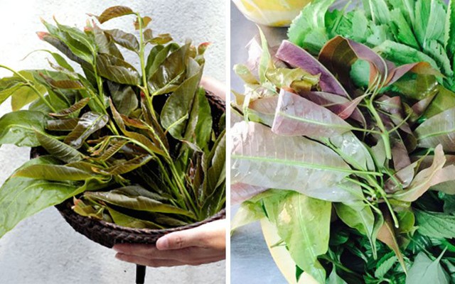 Loại lá có tên rất lạ xưa rụng đầy không ai ăn, nay thành đặc sản bởi hương vị độc lạ - Ảnh 3.
