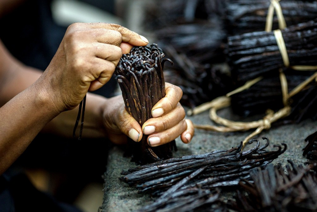 Loại cây tưởng bỏ đi không ngờ hái quả bán 15 triệu/kg, ở Việt Nam cũng có người trồng - Ảnh 3.