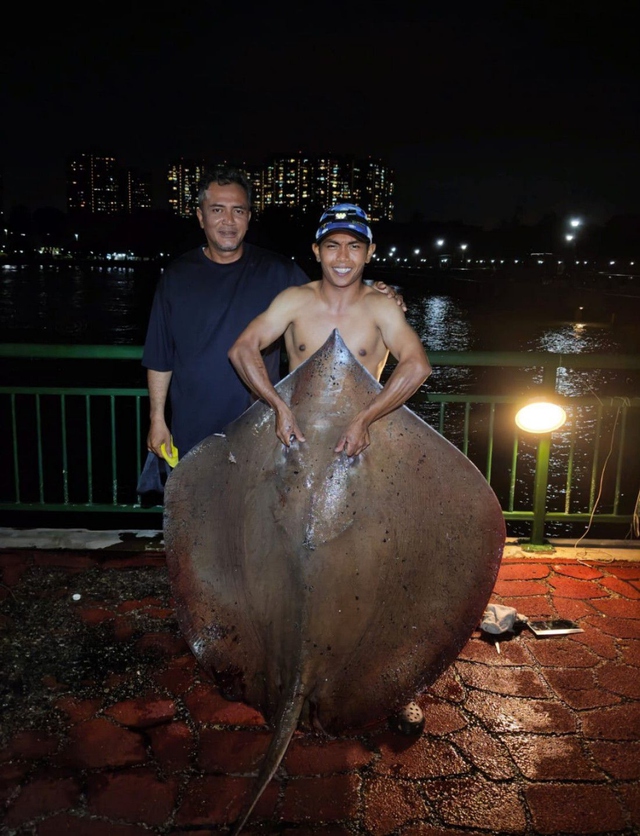 Cần thủ câu được con cá đuối khổng lồ  - Ảnh 1.