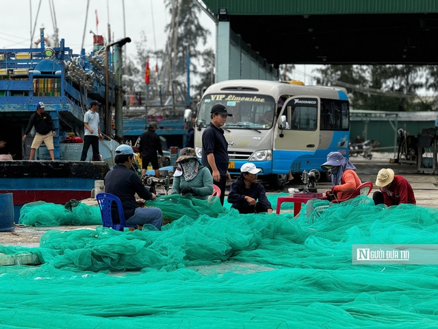 Sóng lớn suốt tháng, ngư dân Quảng Ngãi lao đao vì tàu phải nằm bờ- Ảnh 3.