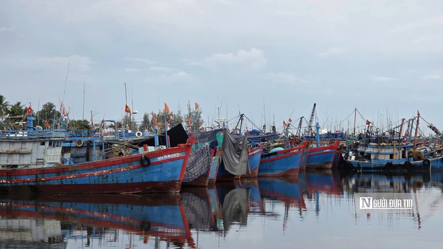 Sóng lớn suốt tháng, ngư dân Quảng Ngãi lao đao vì tàu phải nằm bờ- Ảnh 1.