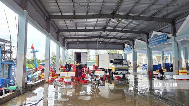 Sóng lớn suốt tháng, ngư dân Quảng Ngãi lao đao vì tàu phải nằm bờ- Ảnh 2.