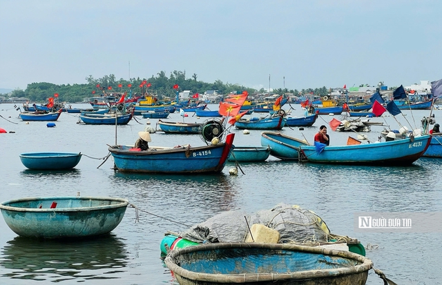Mưu sinh trên thúng nhỏ: Lời kể của những người "làm ăn trên bọt nước" ở Sơn Trà- Ảnh 1.
