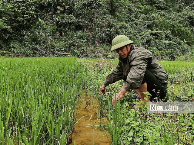 Chuyện ít biết về những người giữ rừng, lan tỏa hành đồng cộng đồng với thiên nhiên- Ảnh 3.