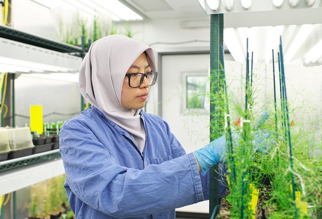 Các nhà khoa học hàng đầu thế giới hiến kế nuôi sống 10 tỷ người tại Tuần lễ Khoa học Công nghệ VinFuture 2025   - Ảnh 2.