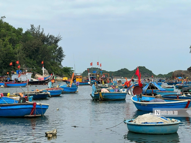 Mưu sinh trên thúng nhỏ: Lời kể của những người "làm ăn trên bọt nước" ở Sơn Trà- Ảnh 7.