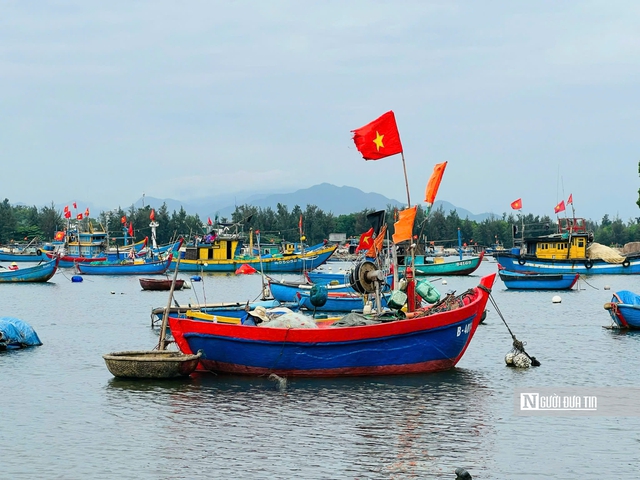 Mưu sinh trên thúng nhỏ: Lời kể của những người "làm ăn trên bọt nước" ở Sơn Trà- Ảnh 8.