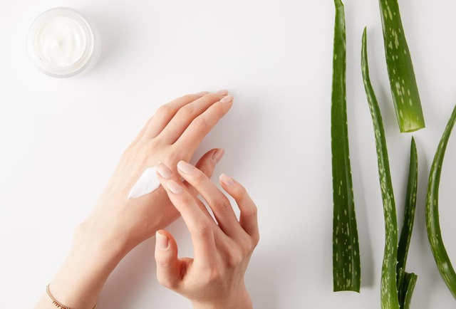 Loại cây là "thần dược" trong làm đẹp, có nhiều công dụng hữu ích - Ảnh 2.