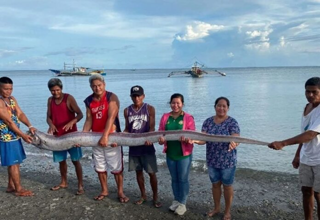 Đang đi dạo biển, người dân bỗng phát hiện cảnh tượng "nổi da gà" giữa ban ngày - Ảnh 1.