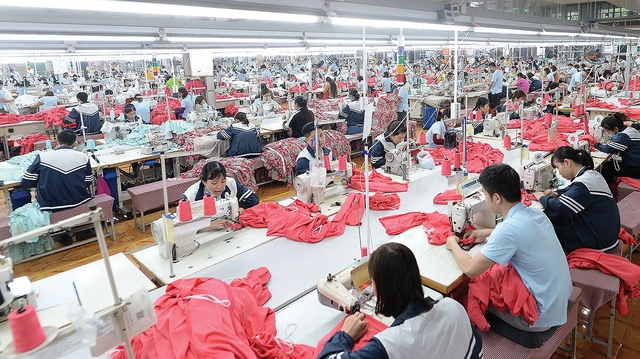 May Sông Hồng báo lãi kỷ lục quý III/2025 - Ảnh 1.