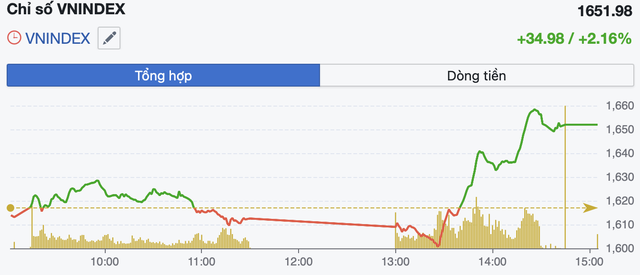 Chứng khoán thăng hoa, sắc xanh tím phủ rộng toàn thị trường - Ảnh 1.