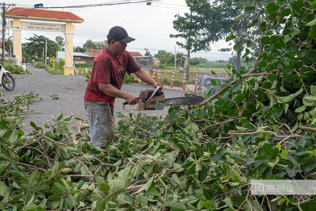 Đắk Lắk: Người dân hối hả phòng chống bão, tích trữ lương thực, tập kết cát chắn sóng ứng phó bão số 13- Ảnh 1. Đắk Lắk: Người dân hối hả phòng chống bão, tích trữ lương thực, tập kết cát chắn sóng ứng phó bão số 13- Ảnh 1.
