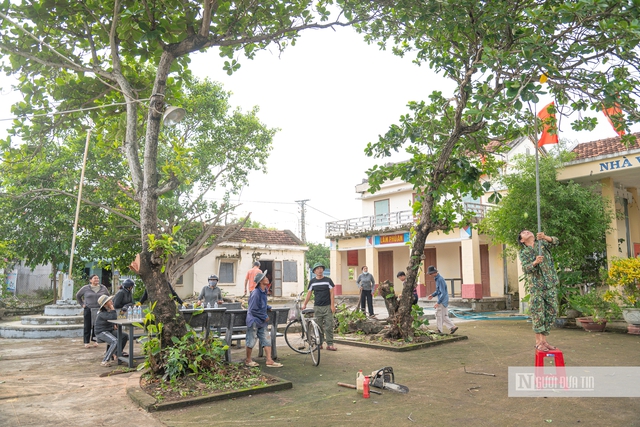 Đắk Lắk: Người dân hối hả phòng chống bão, tích trữ lương thực, tập kết cát chắn sóng ứng phó bão số 13- Ảnh 2. Đắk Lắk: Người dân hối hả phòng chống bão, tích trữ lương thực, tập kết cát chắn sóng ứng phó bão số 13- Ảnh 2.