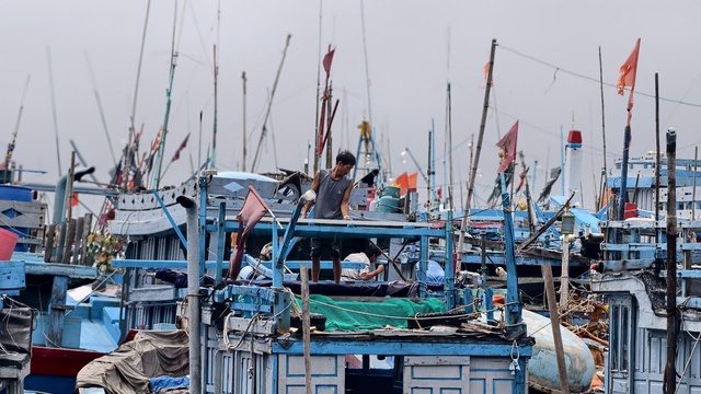 Người dân Quảng Ngãi tất bật ứng phó trước bão số 13- Ảnh 2. Người dân Quảng Ngãi tất bật ứng phó trước bão số 13- Ảnh 2.