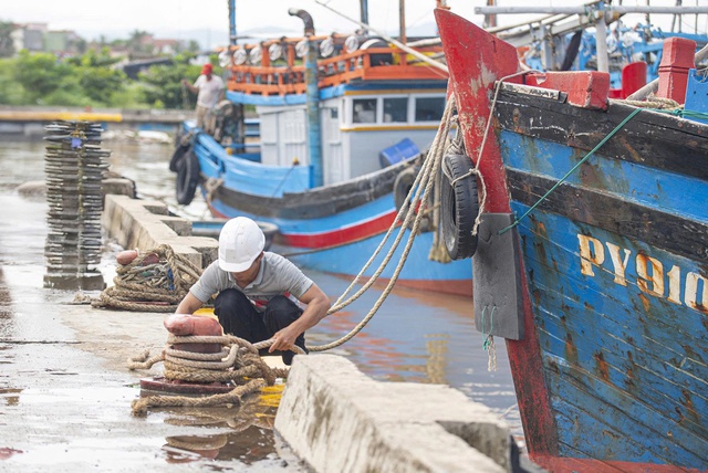 Đắk Lắk cấm biển, ngư dân hối hả tìm nơi tránh trú, neo đậu tàu, thuyền- Ảnh 4. Đắk Lắk cấm biển, ngư dân hối hả tìm nơi tránh trú, neo đậu tàu, thuyền- Ảnh 4.