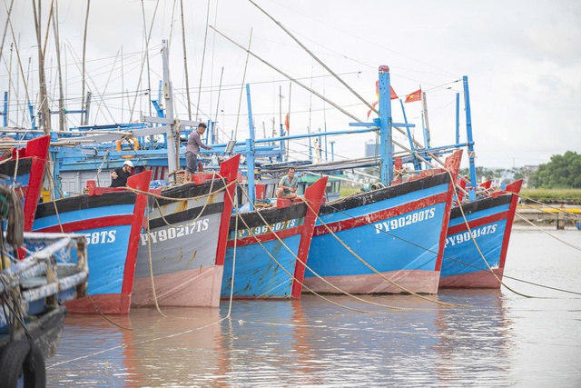 Đắk Lắk cấm biển, ngư dân hối hả tìm nơi tránh trú, neo đậu tàu, thuyền- Ảnh 5. Đắk Lắk cấm biển, ngư dân hối hả tìm nơi tránh trú, neo đậu tàu, thuyền- Ảnh 5.