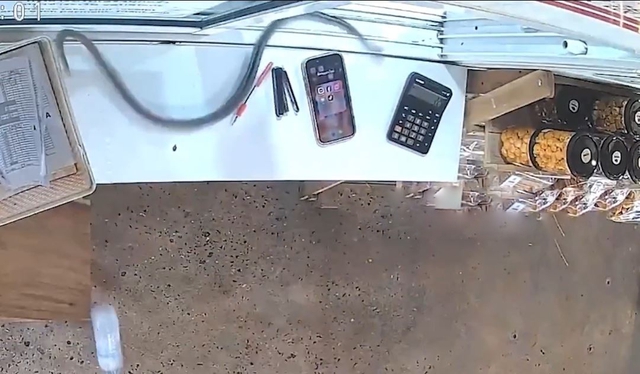 Rắn lao từ trên trần xuống bàn, cô gái hoảng sợ bỏ chạy - Ảnh 1.