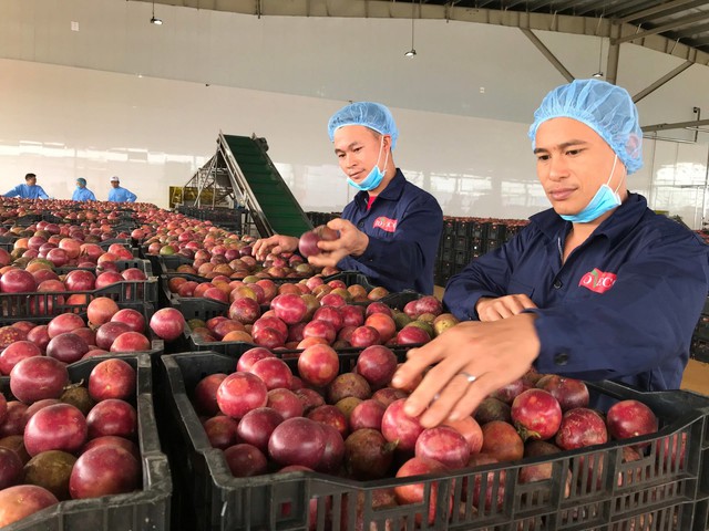 Tổng Bí thư Tô Lâm: Ngành Nông nghiệp và Môi trường cần đóng góp xứng đáng vào sự phát triển phồn vinh, bền vững của đất nước - Ảnh 2.