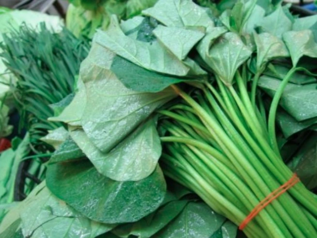 Đừng chỉ ăn củ, lá loại cây này quý như "nhân sâm người nghèo", ở quê rất nhiều bỏ qua quá phí - Ảnh 2.