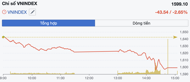 VN-Index thủng mốc 1.600 điểm, áp lực bán lan rộng toàn thị trường - Ảnh 1.