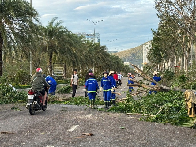Bão số 13 suy yếu, Gia Lai tan hoang sau cơn cuồng phong- Ảnh 4. Bão số 13 suy yếu, Gia Lai tan hoang sau cơn cuồng phong- Ảnh 4.