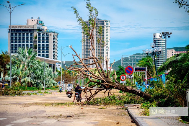 Gia Lai: Doanh nghiệp mất trắng hàng tỷ đồng sau bão số 13, chủ nhà hàng "không biết nên bắt đầu từ đâu" - Ảnh 4.