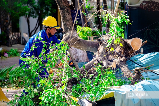 Gia Lai: Doanh nghiệp mất trắng hàng tỷ đồng sau bão số 13, chủ nhà hàng "không biết nên bắt đầu từ đâu" - Ảnh 6.