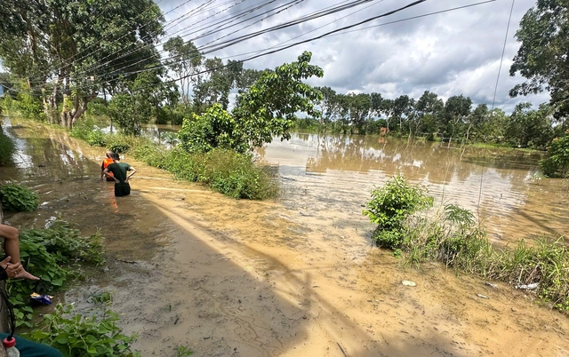 Mưa lớn kéo dài, người dân Lâm Đồng tất tả chạy lũ- Ảnh 5.