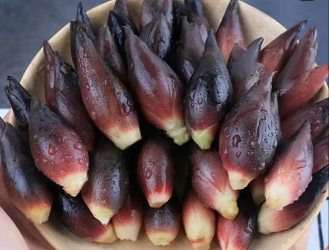 "Nhân sâm châu Á" - Loại rau rừng kỳ lạ, bổ dưỡng - Ảnh 1.