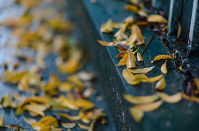 Trai phố cổ - Những hào hoa thắp sáng thành Hà Nội- Ảnh 1. Trai phố cổ - Những hào hoa thắp sáng thành Hà Nội- Ảnh 1.