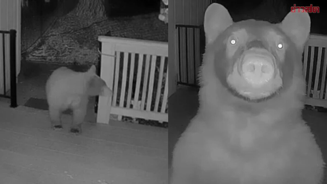 Nửa đêm thức giấc, người đàn ông bỗng phát hiện thứ "đáng sợ" ngoài cửa - Ảnh 1.