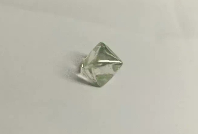 Hai người đàn ông đàn ông đào được viên kim cương trị giá 1,4 tỷ đồng - Ảnh 1.