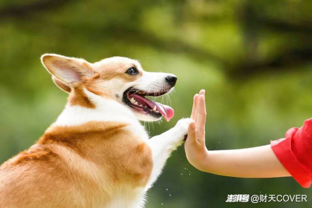 Nghề lạ "đi làm như đi chơi" tháng kiếm trăm triệu, nghe thôi đã muốn đi làm - Ảnh 3.